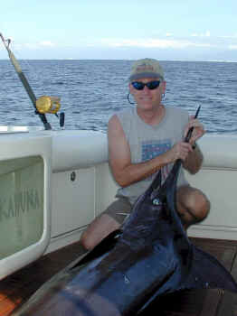248 pound blue marlin caught in Puerto Vallarta only 5 miles off Punta Mita
